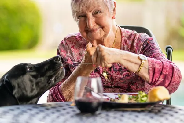 Gesunde Ernährung im Alter: So bleibst du körperlich und geistig fit